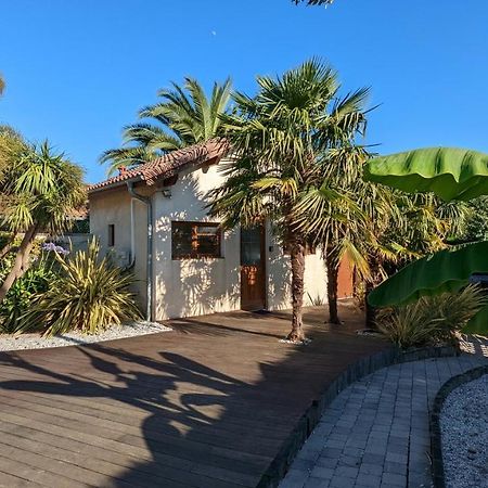 Guest House Au Milieu Des Palmiers Saint-Martin-de-Seignanx Екстер'єр фото